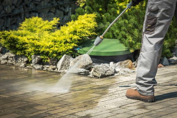 Best Parking Lot Cleaning in Winnebago, MN