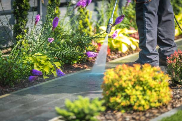 Best Fence Cleaning and Maintenance in Winnebago, MN