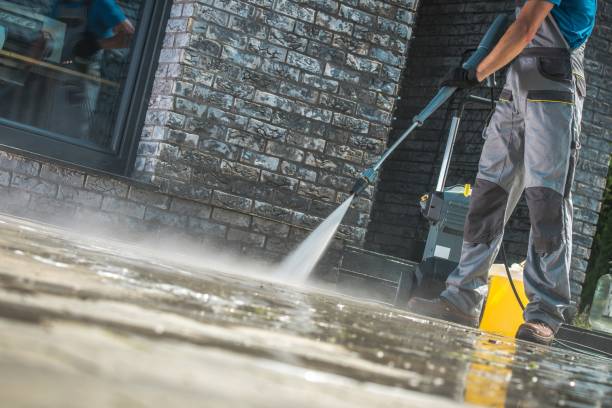Best Roof Cleaning and Mildew Removal in Winnebago, MN