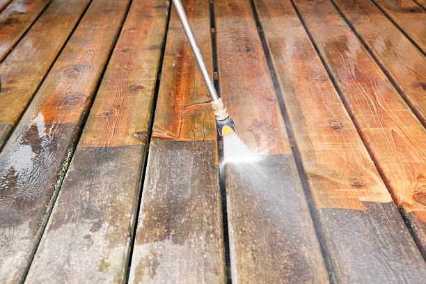 Best Soft Washing for Delicate Surfaces in Winnebago, MN