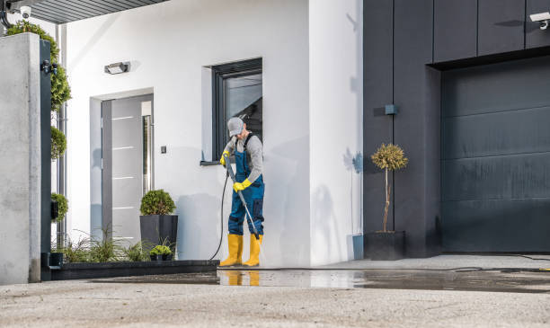 Best Vinyl Siding Pressure Washing in Winnebago, MN